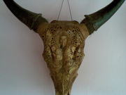 Art handycrafts of Indah creation(Bali)Cow head skull carving